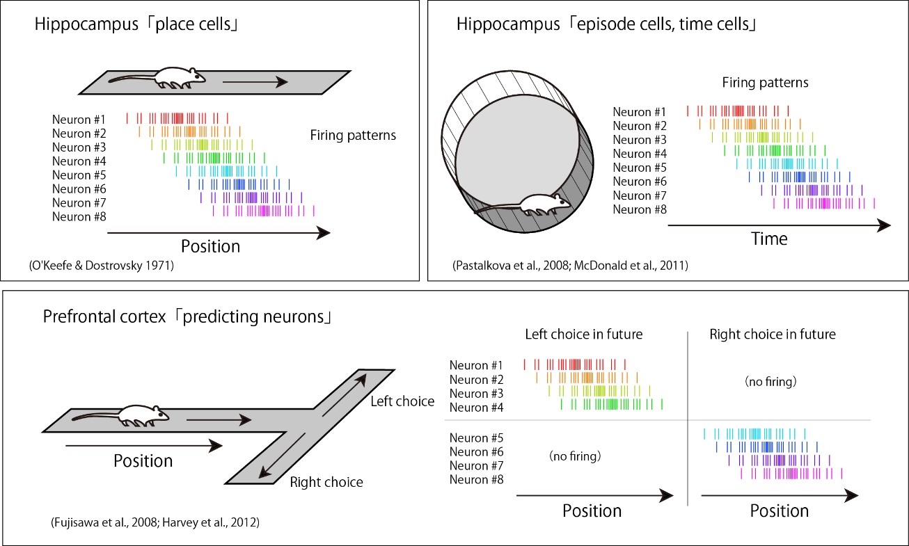 The mechanisms of the formation of cell assembly sequences that represent temporal information